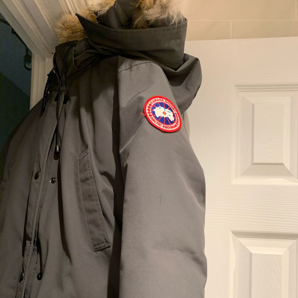 GRAY CANADA GOOSE